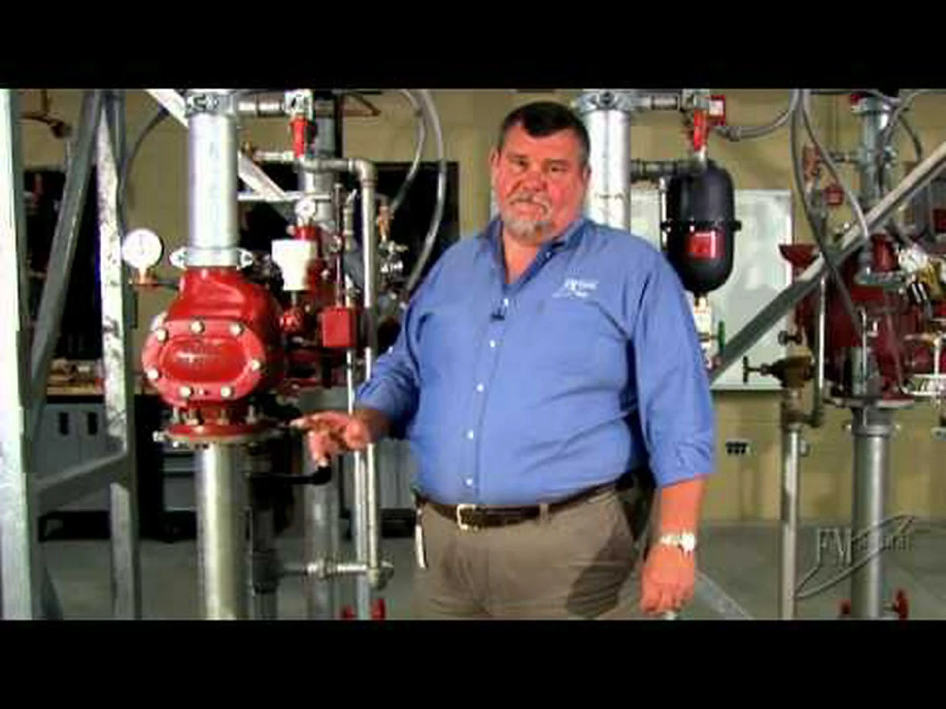 野生のオオヤマネコは、山で泳いだ後、水が枯れる様子がスプリンクラーに似ている 野生のオオヤマネコは、山で泳いだ後、水が枯れる様子がスプリンクラーに似ている