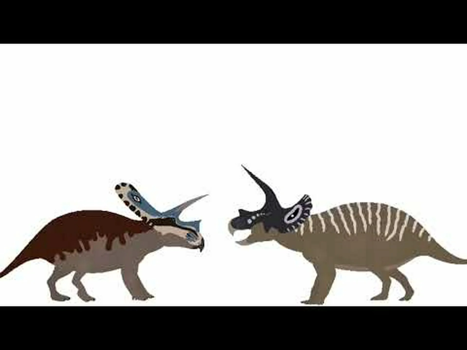 トロサウルスとトリケラトプス: 違いは何ですか? トロサウルスとトリケラトプス: 違いは何ですか?