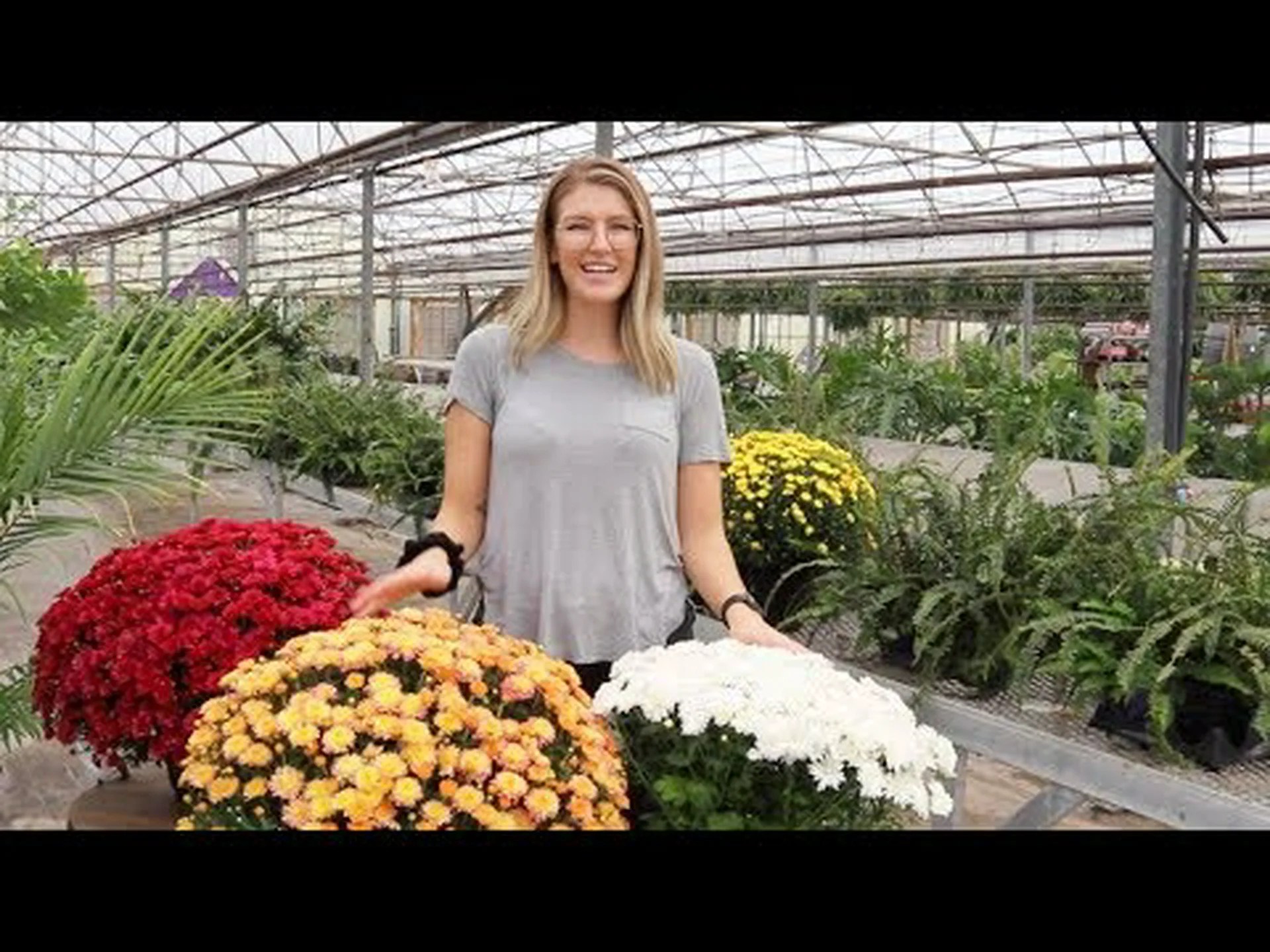 毎年戻ってくる、最高の多年草ママ18人 毎年戻ってくる、最高の多年草ママ18人