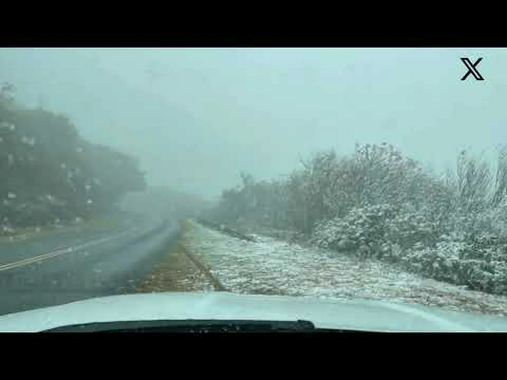 クリスマスにノースカロライナ州を襲った史上最大の吹雪を発見 クリスマスにノースカロライナ州を襲った史上最大の吹雪を発見