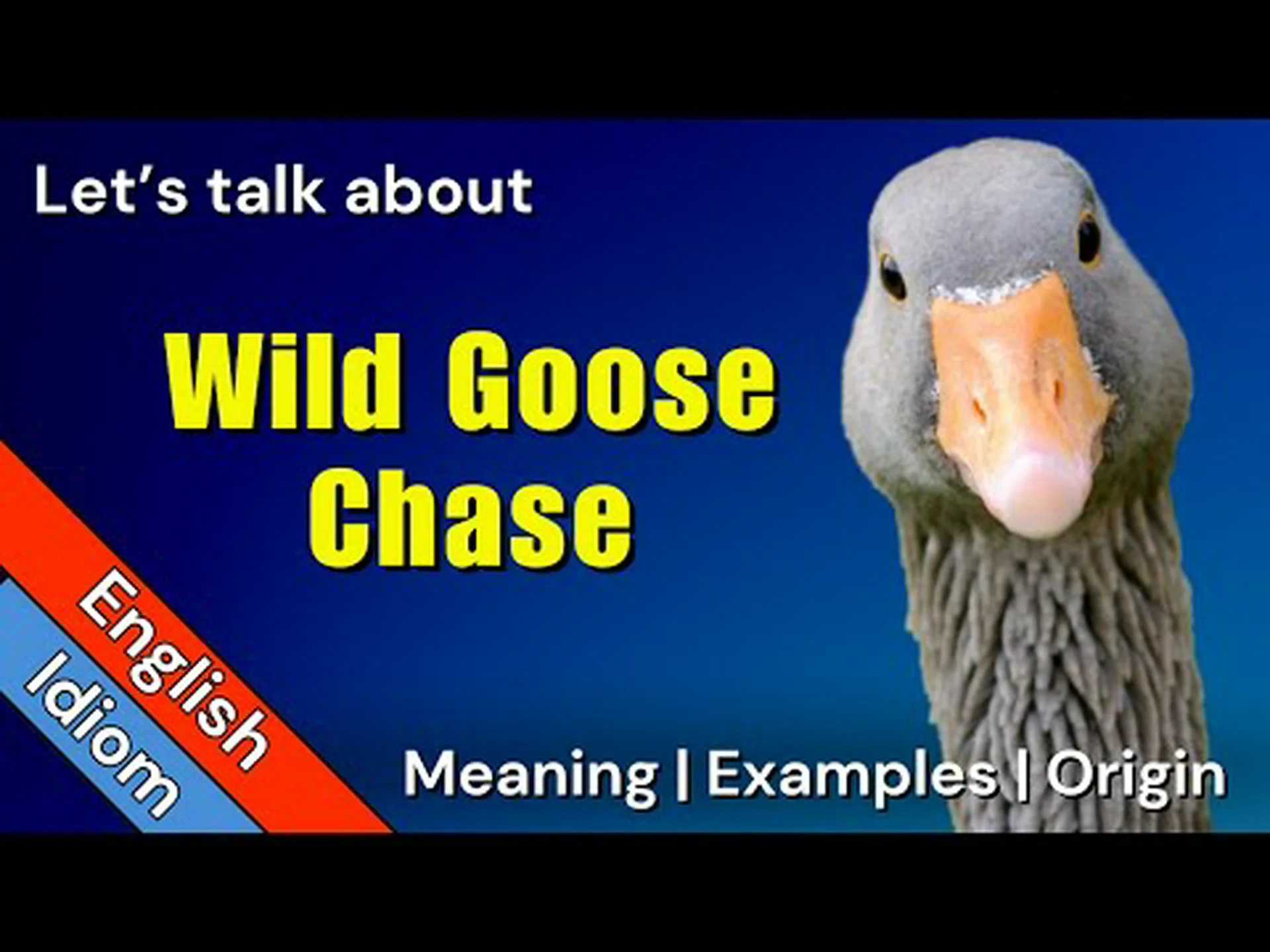 雁の追跡: 明らかにされた意味と起源 雁の追跡: 明らかにされた意味と起源