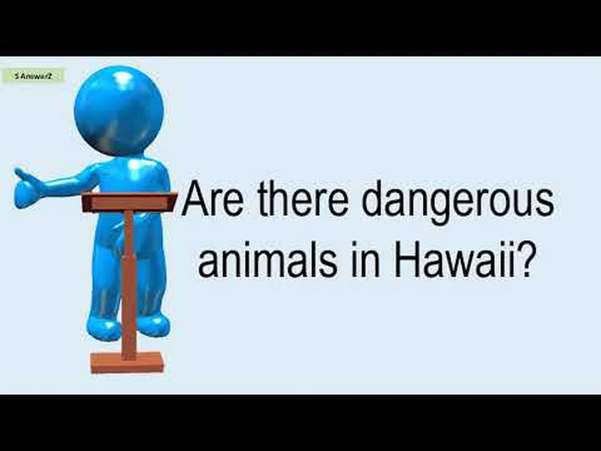 ハワイで最も危険な動物を発見する ハワイで最も危険な動物を発見する