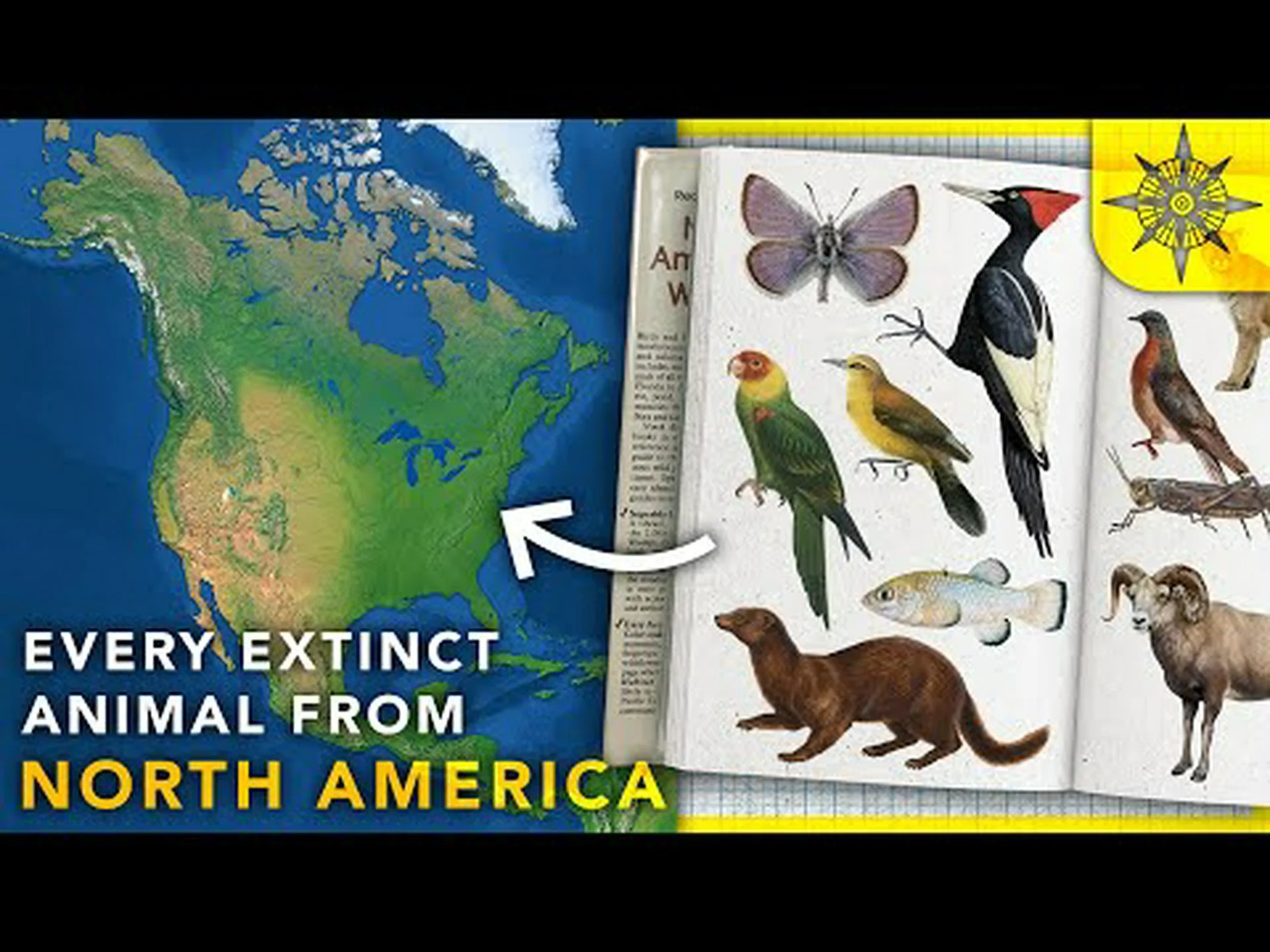 ミシシッピ州に生息していた6頭の絶滅動物を発見 ミシシッピ州に生息していた6頭の絶滅動物を発見