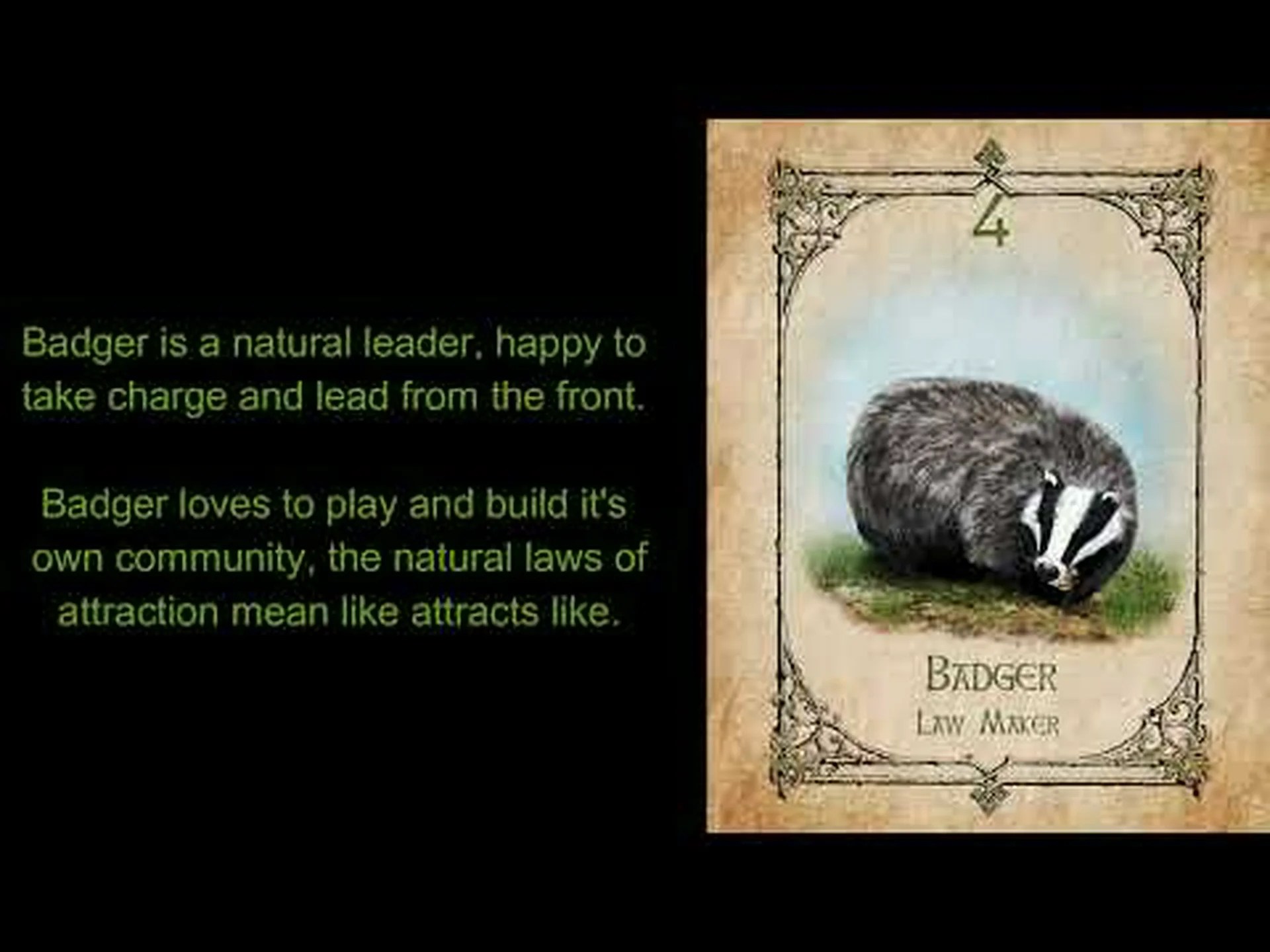 アナグマの霊動物の象徴性と意味 アナグマの霊動物の象徴性と意味