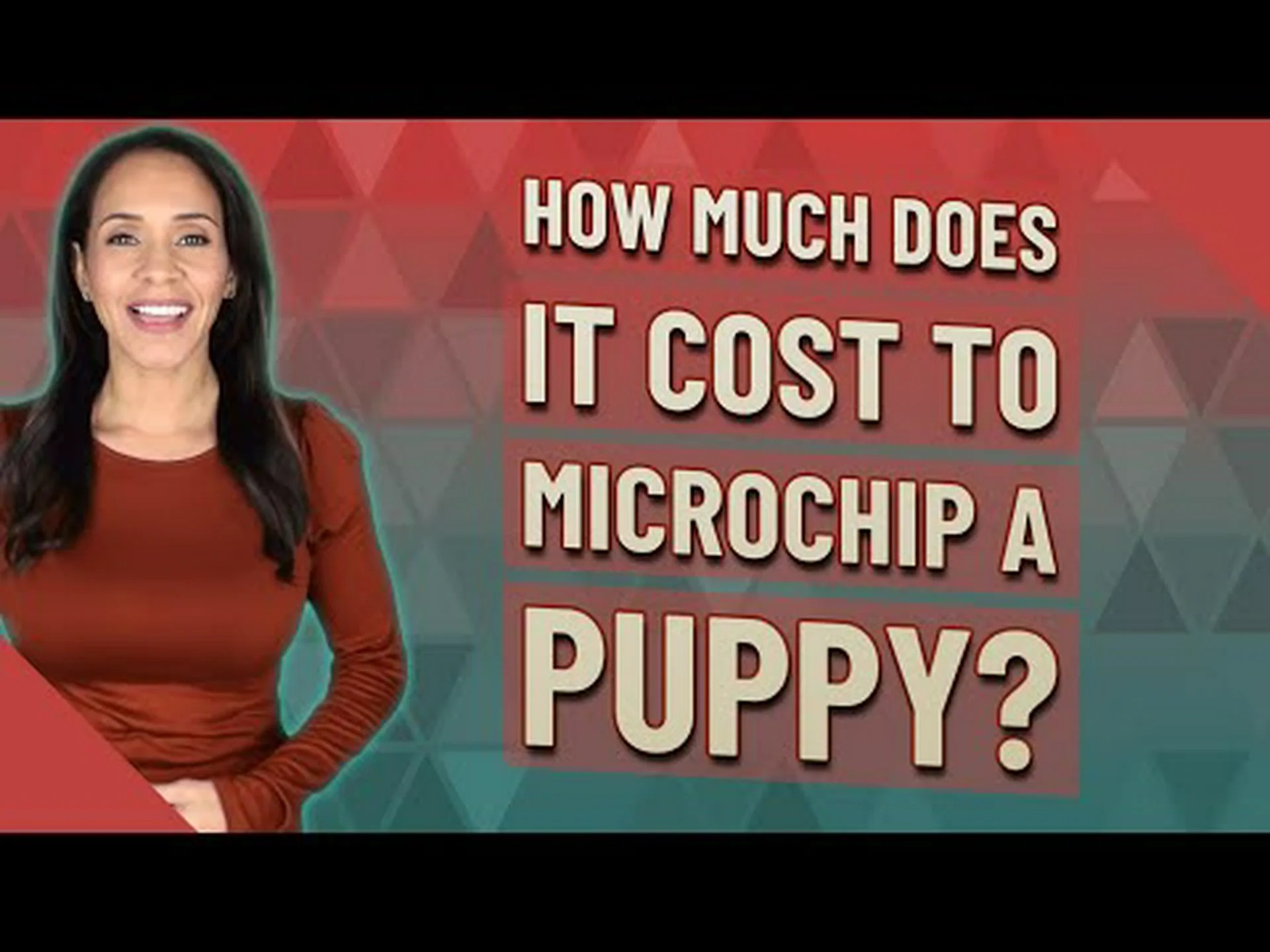 犬にマイクロチップを埋め込む費用とそれを行うメリット 犬にマイクロチップを埋め込む費用とそれを行うメリット