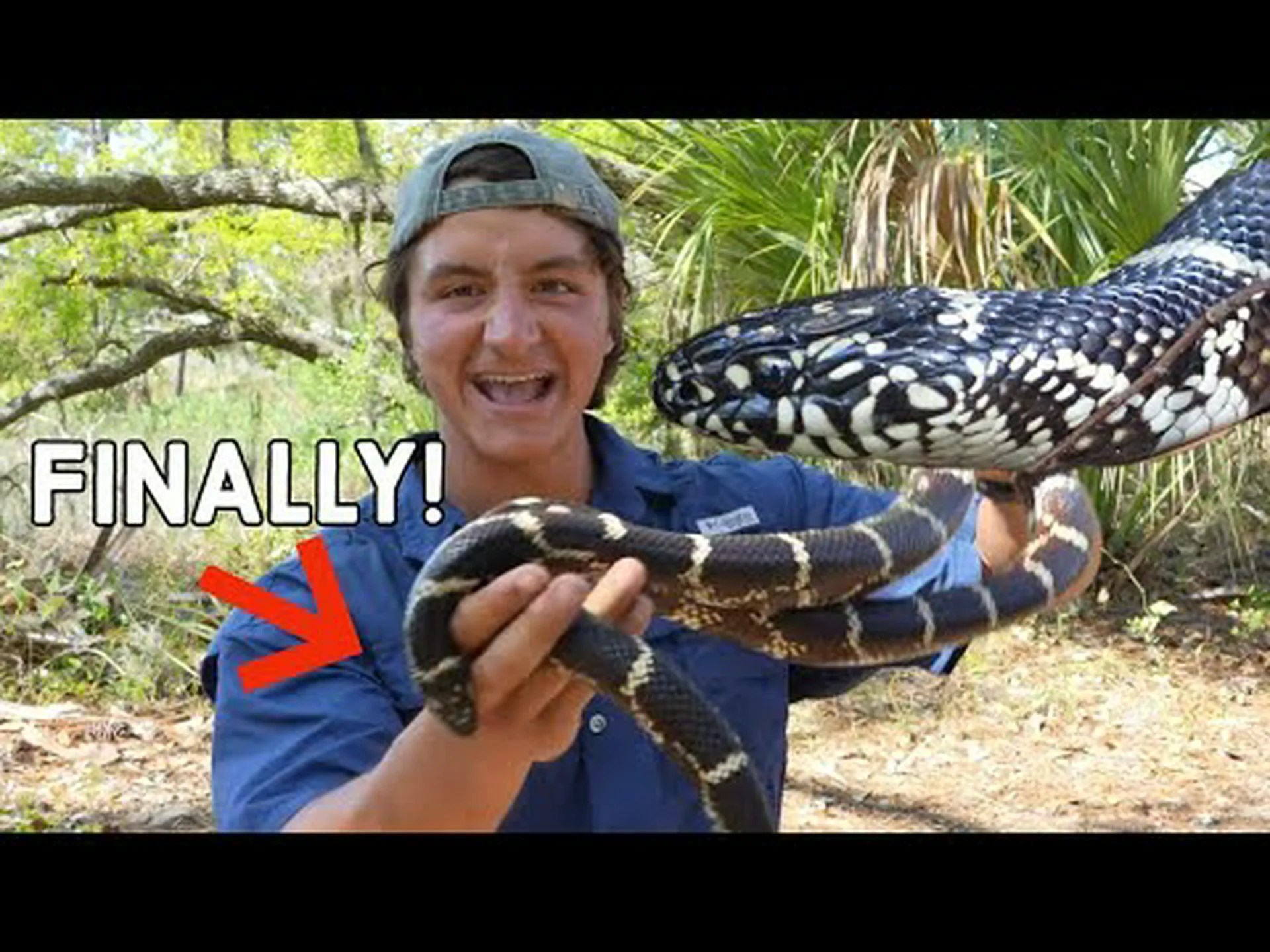 史上最大のプレーリーキングスネークを発見 史上最大のプレーリーキングスネークを発見