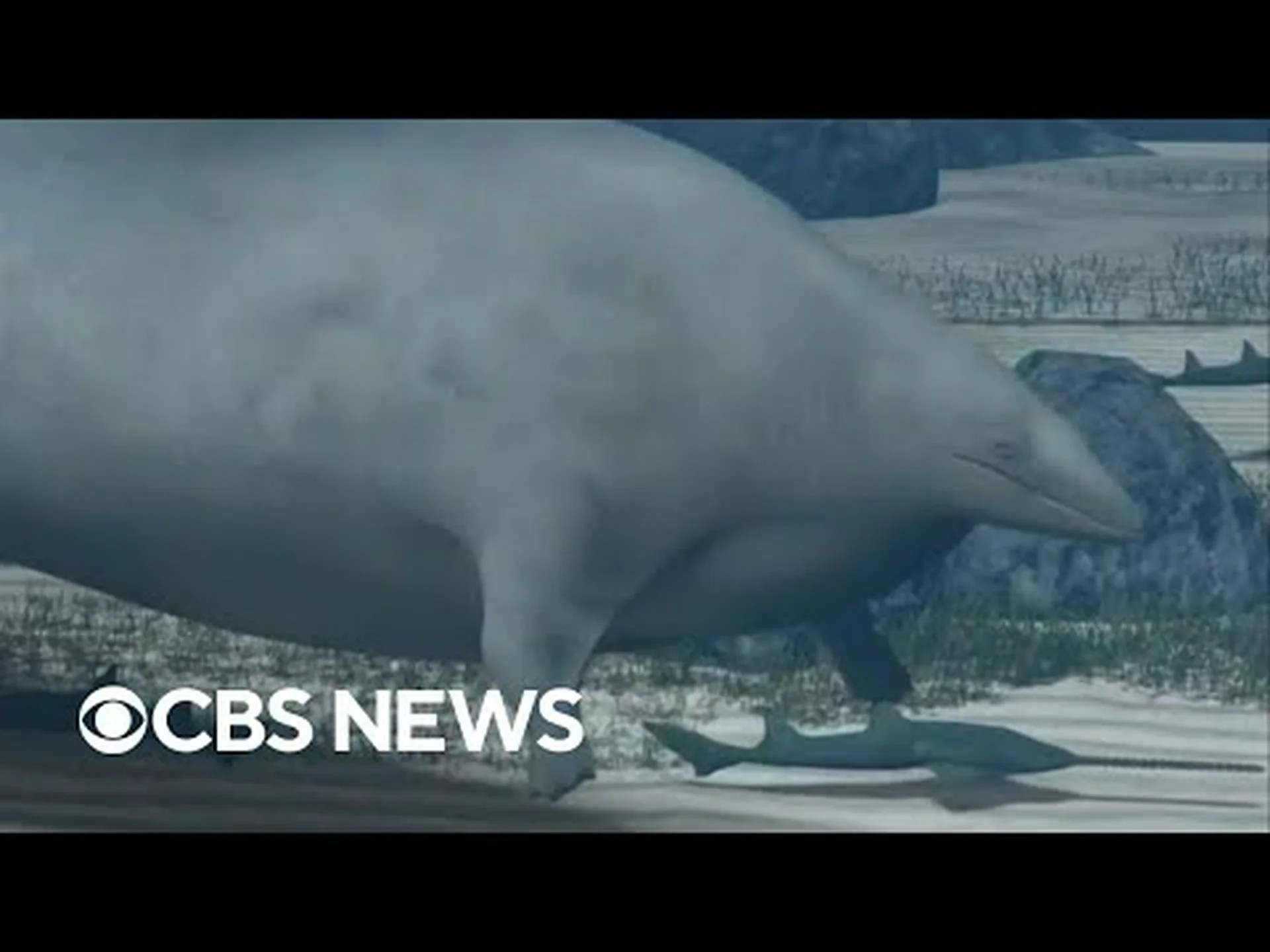 科学者たちが新たな世界最大の雑食動物を発見 - 体重は42,000ポンド! 科学者たちが新たな世界最大の雑食動物を発見 - 体重は42,000ポンド!