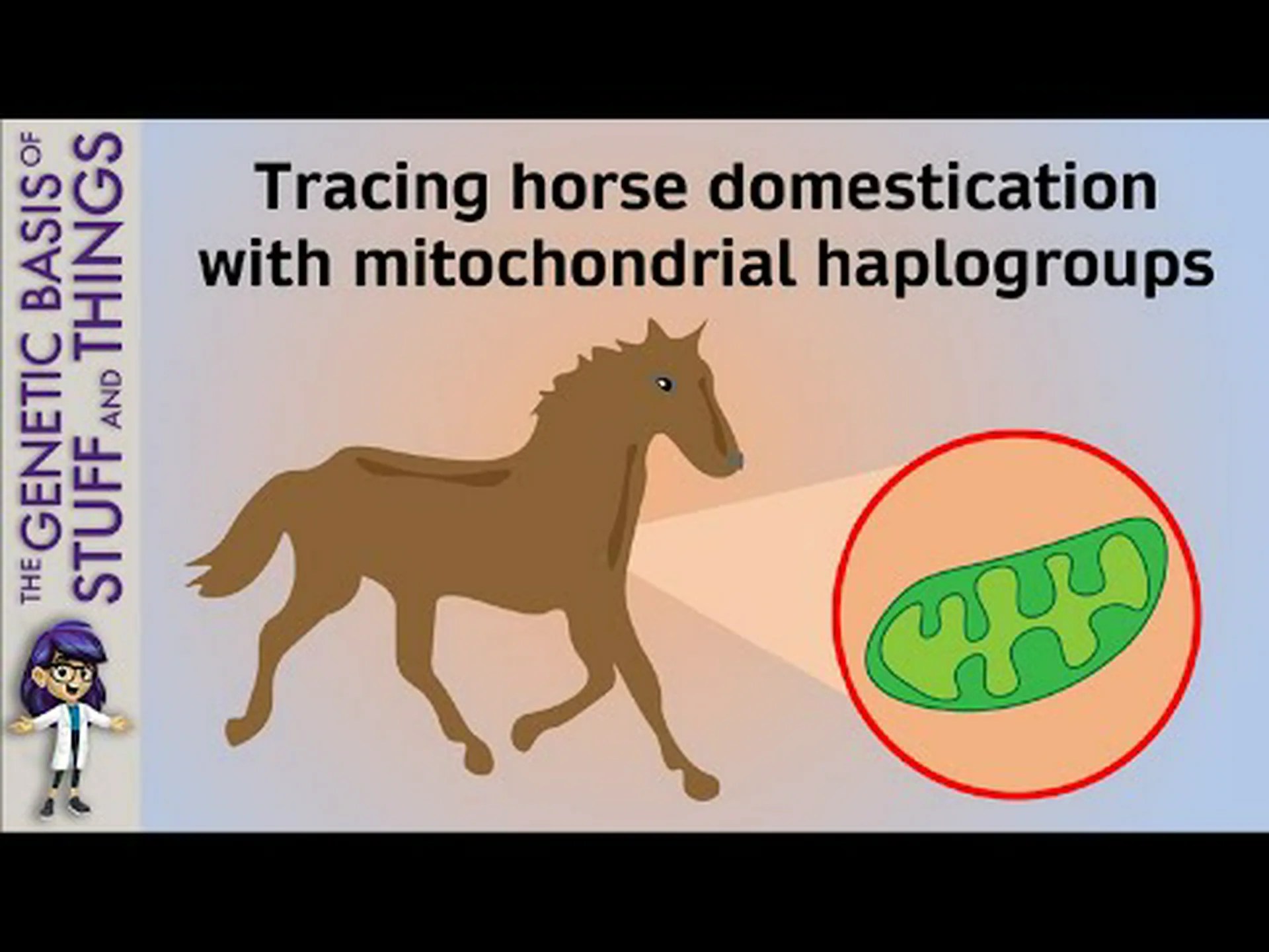 新しい研究: 古遺伝学が現代の馬の謎を解く 新しい研究: 古遺伝学が現代の馬の謎を解く