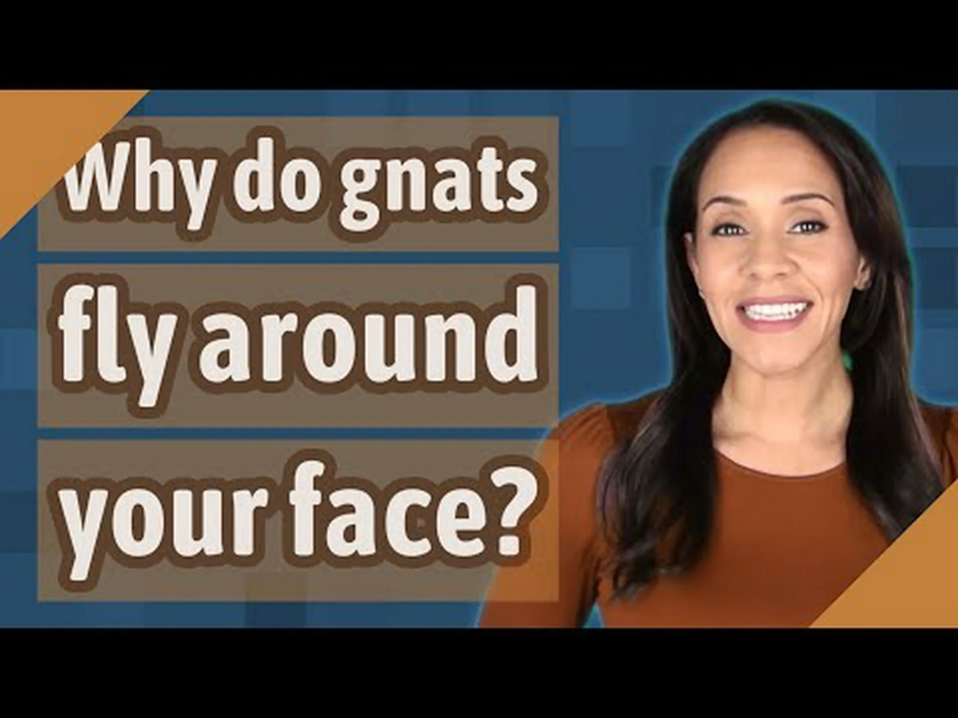 迷惑なブヨがいつもあなたの顔にぶつかる理由を発見してください 迷惑なブヨがいつもあなたの顔にぶつかる理由を発見してください