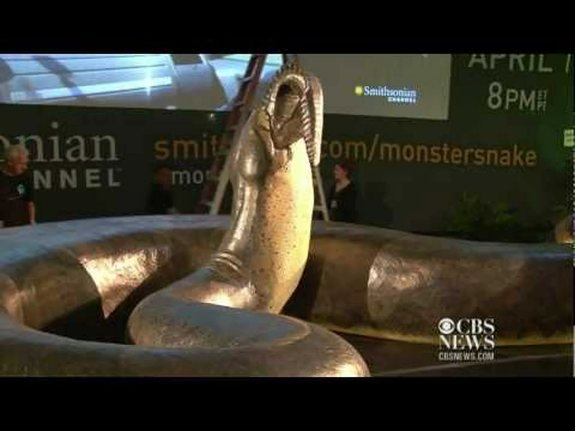 最大のニシキヘビは市バスよりも長かった ― こんなに大きくなった3つの理由 最大のニシキヘビは市バスよりも長かった ― こんなに大きくなった3つの理由