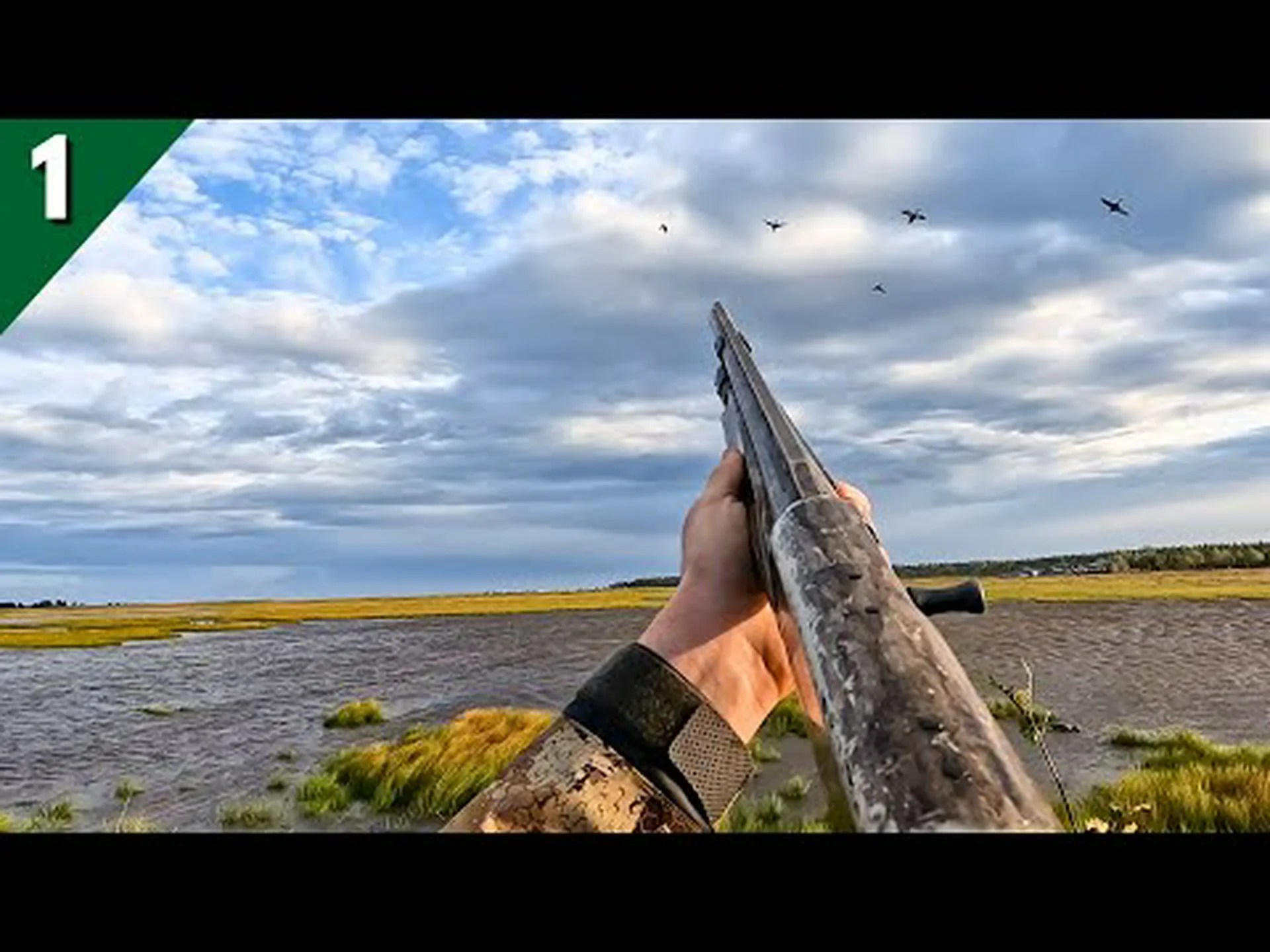 アラスカのアヒル狩猟シーズン: シーズン日程、手荷物制限など アラスカのアヒル狩猟シーズン: シーズン日程、手荷物制限など