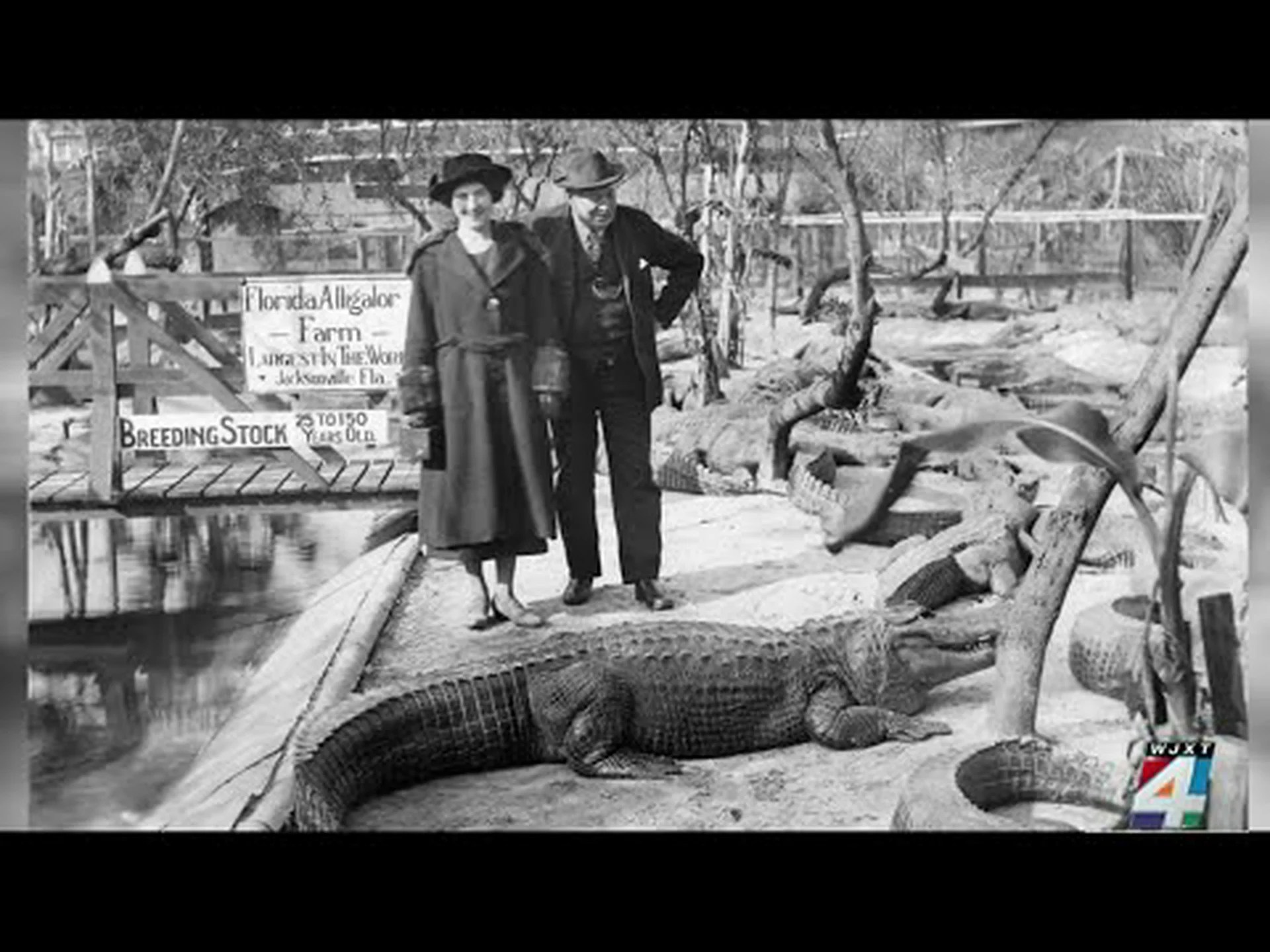 ジャクソンビルの姉妹都市である 8 つの国際的な宝物を発見 ジャクソンビルの姉妹都市である 8 つの国際的な宝物を発見