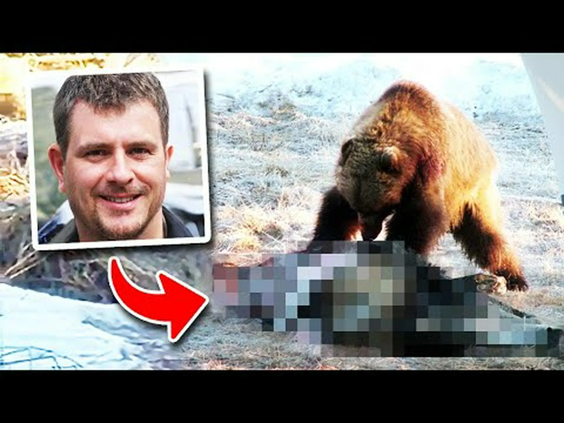 2022 年にイエローストーンでハイイログマの襲撃は何件発生しましたか? 2022 年にイエローストーンでハイイログマの襲撃は何件発生しましたか?