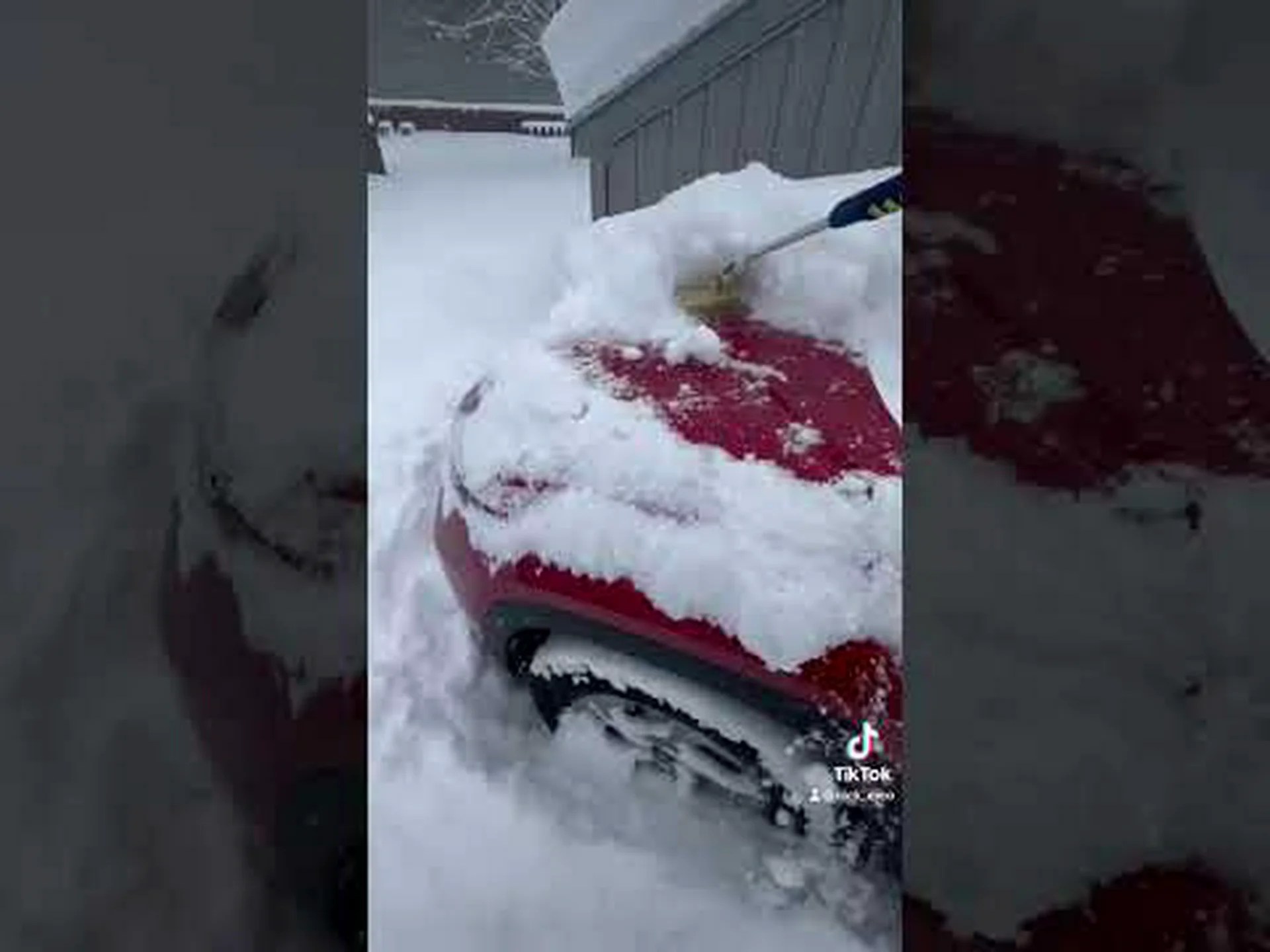 ミシガン州史上最大の11月の吹雪により、とんでもない量の雪が降った ミシガン州史上最大の11月の吹雪により、とんでもない量の雪が降った