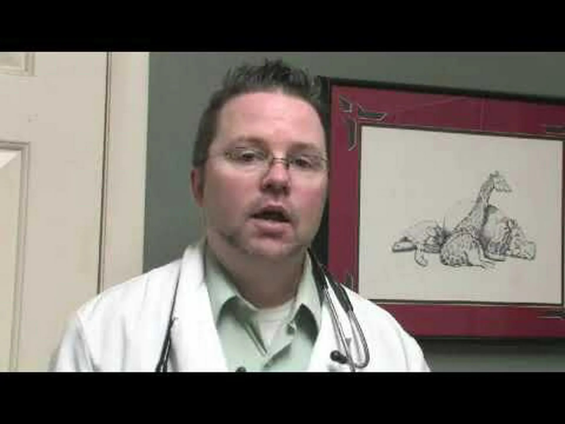 犬もヘルペスに感染することがありますか?症状、治療、識別 犬もヘルペスに感染することがありますか?症状、治療、識別