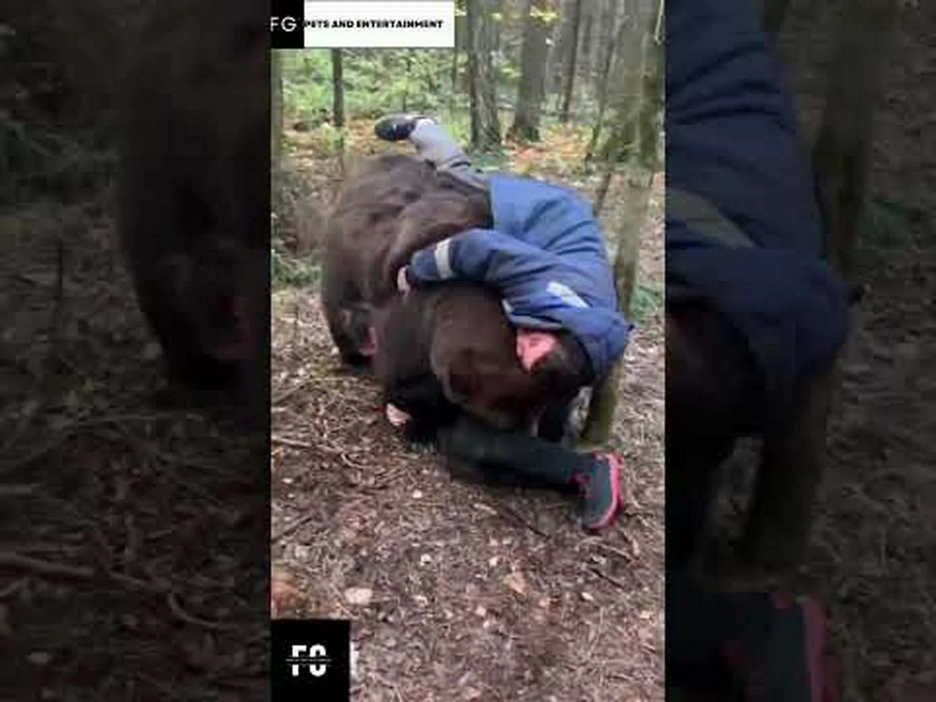 コロラド最後のハイイログマの実話を発見 コロラド最後のハイイログマの実話を発見