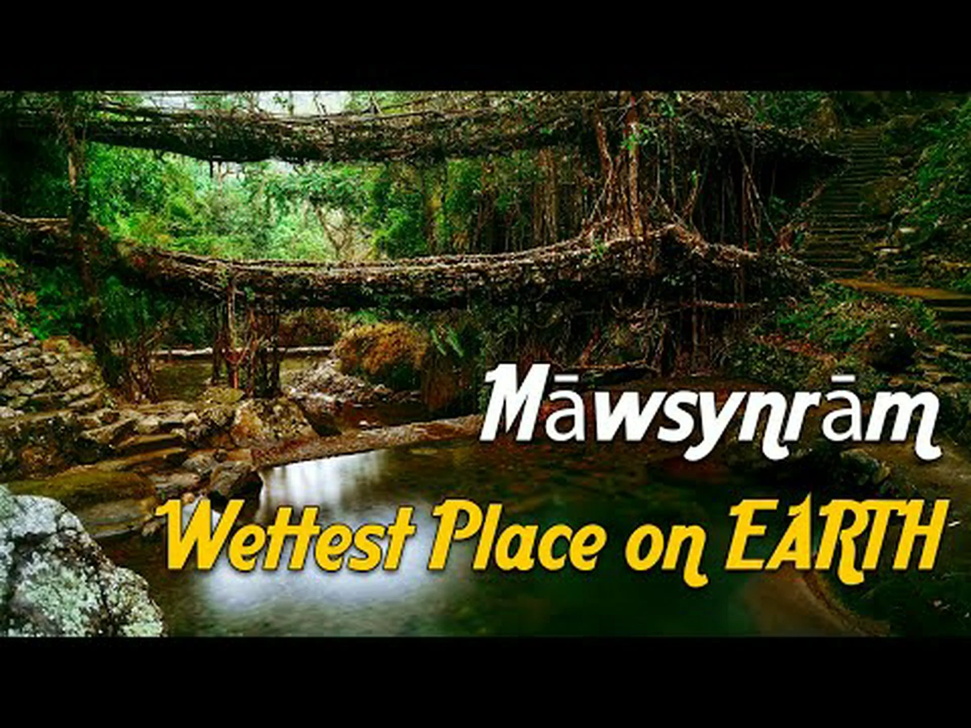 雨が降る39フィートの地球上で最も湿った場所を発見してください! 雨が降る39フィートの地球上で最も湿った場所を発見してください!