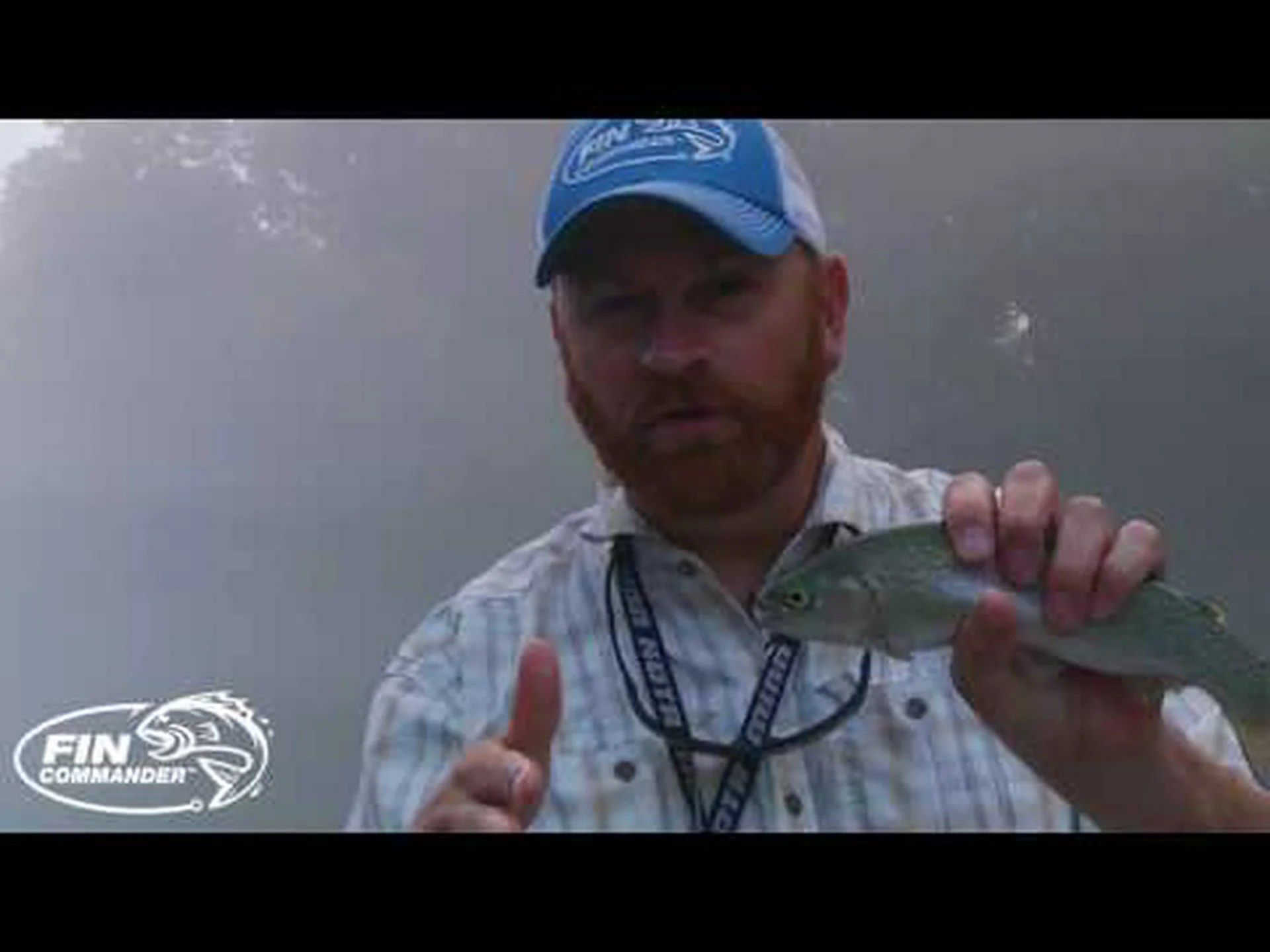 ブルックトラウトとブラウントラウト: 4 つの主な違い ブルックトラウトとブラウントラウト: 4 つの主な違い