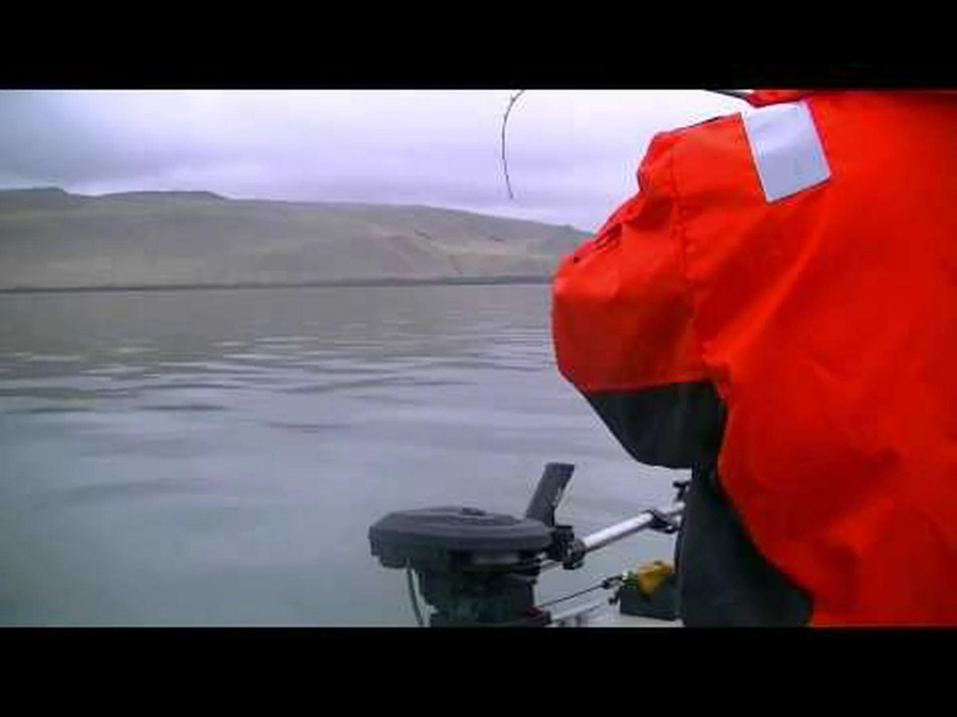 オハイオ州でこれまでに捕獲された最大のスケトウダラは黄金記録を樹立した オハイオ州でこれまでに捕獲された最大のスケトウダラは黄金記録を樹立した