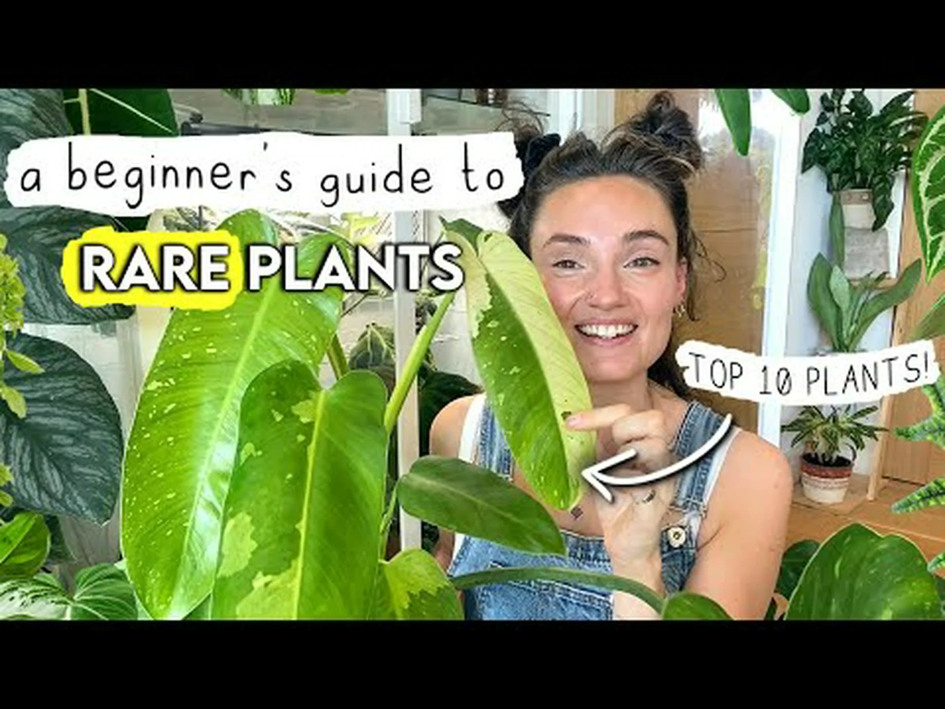 あなたの家を完全に変える16の珍しい観葉植物 あなたの家を完全に変える16の珍しい観葉植物