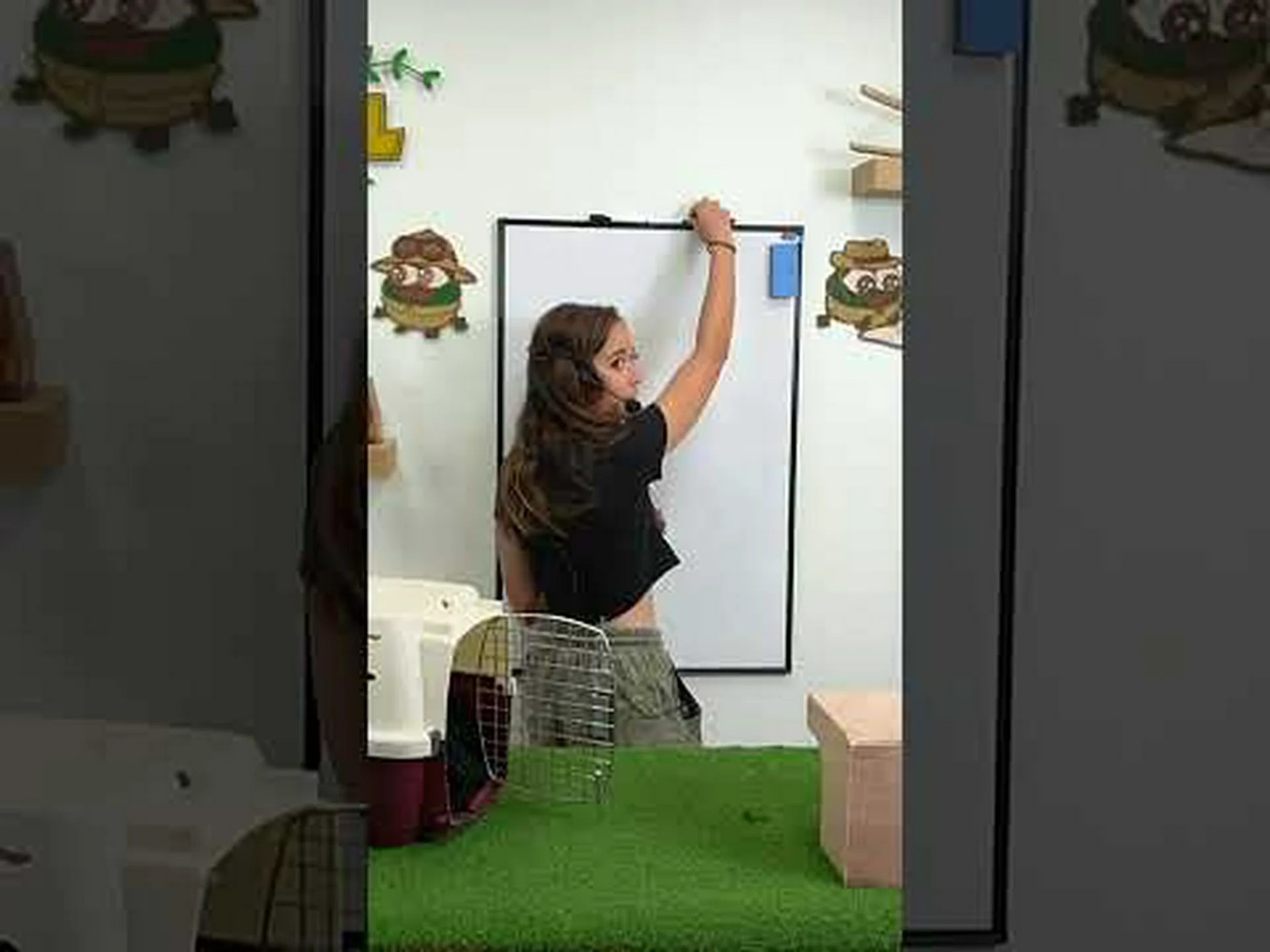 マスクラットとネズミ: 違いは何ですか? マスクラットとネズミ: 違いは何ですか?