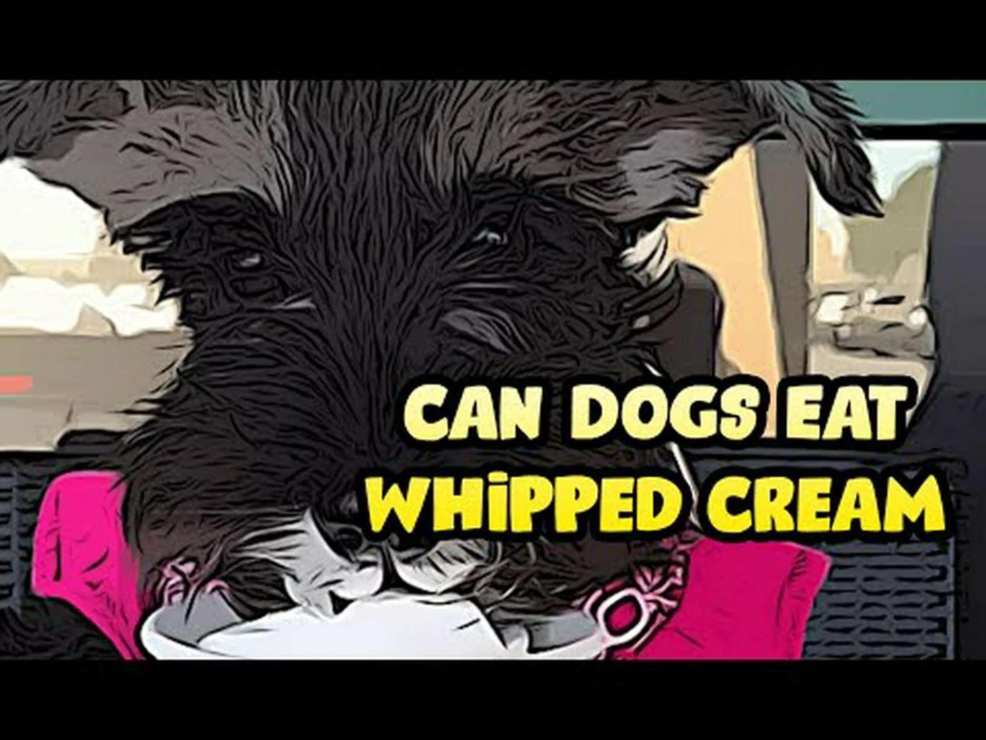 あなたの犬はホイップクリーム(パパチーノ)を安全に食べられますか? あなたの犬はホイップクリーム(パパチーノ)を安全に食べられますか?