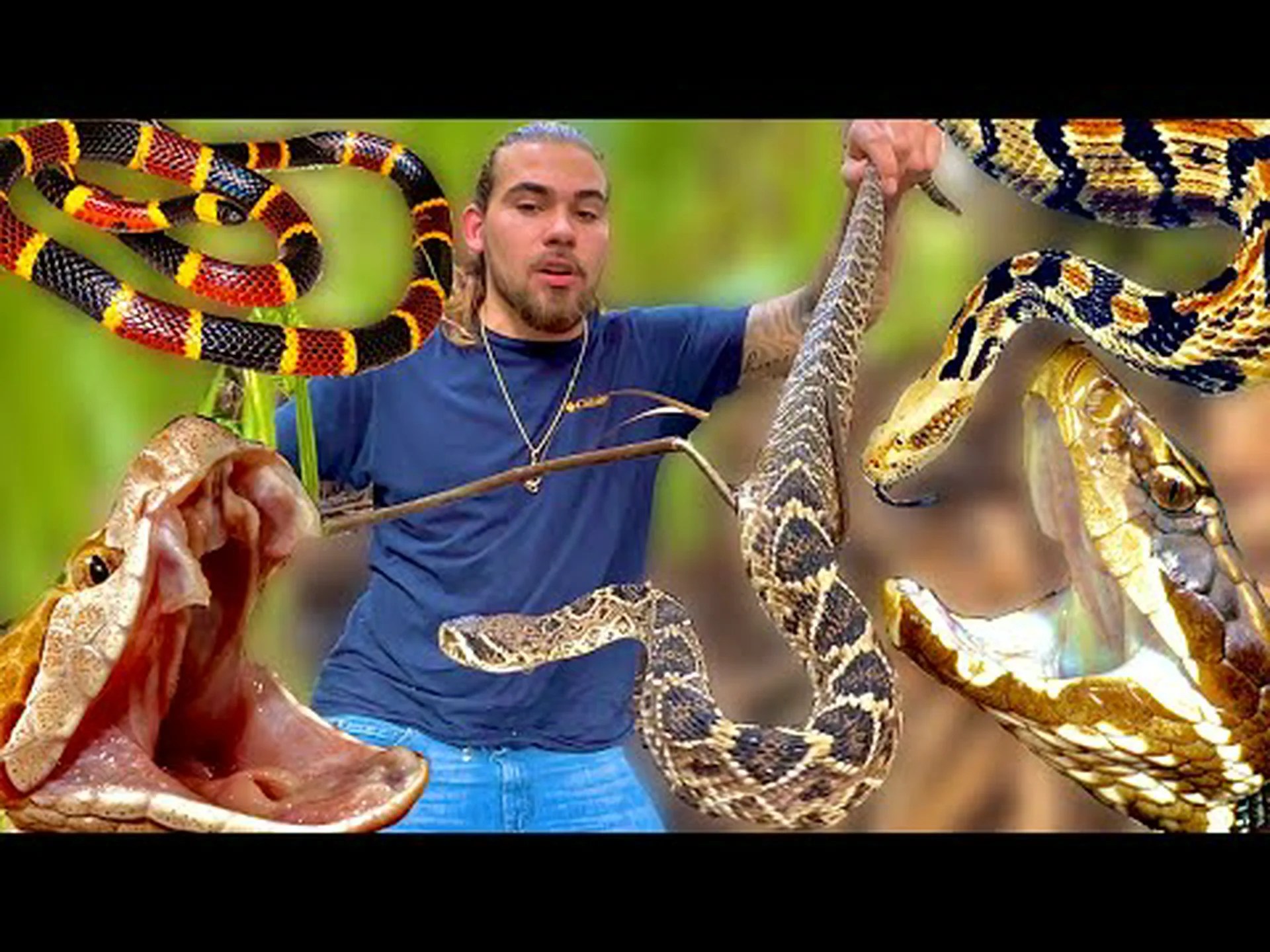 この夏、フロリダでトップ 4 の最大 (そして最も危険な) ヘビを発見しましょう! この夏、フロリダでトップ 4 の最大 (そして最も危険な) ヘビを発見しましょう!