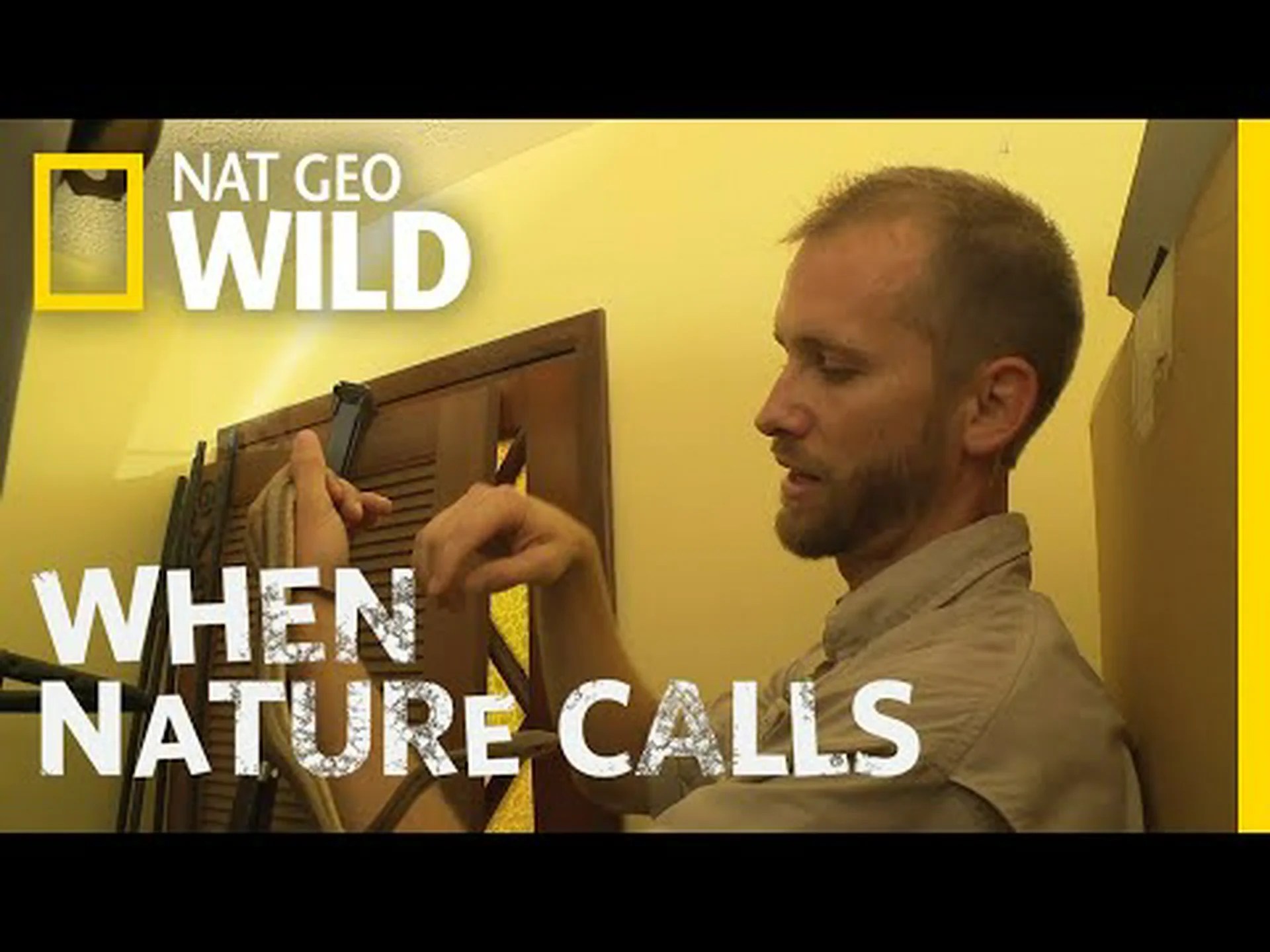 コチ湖の周りを這う6匹のヘビ コチ湖の周りを這う6匹のヘビ