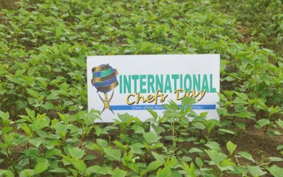 VISIT TO ORGANIC FARM โ CELEBRATION OF INTERNATIONAL CHEFS DAY-2012 VISIT TO ORGANIC FARM โ CELEBRATION OF INTERNATIONAL CHEFS DAY-2012