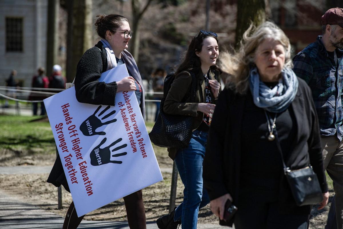 Trump’s feud with Harvard nourishes “the spiral spiral -rich effect Trump’s feud with Harvard nourishes “the spiral spiral -rich effect