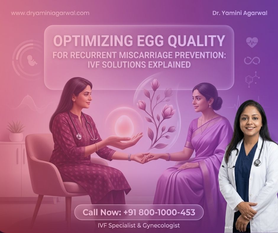 The Role of Egg Quality in Preventing Recurrent Miscarriage | IVF Specialist Explains The Role of Egg Quality in Preventing Recurrent Miscarriage | IVF Specialist Explains