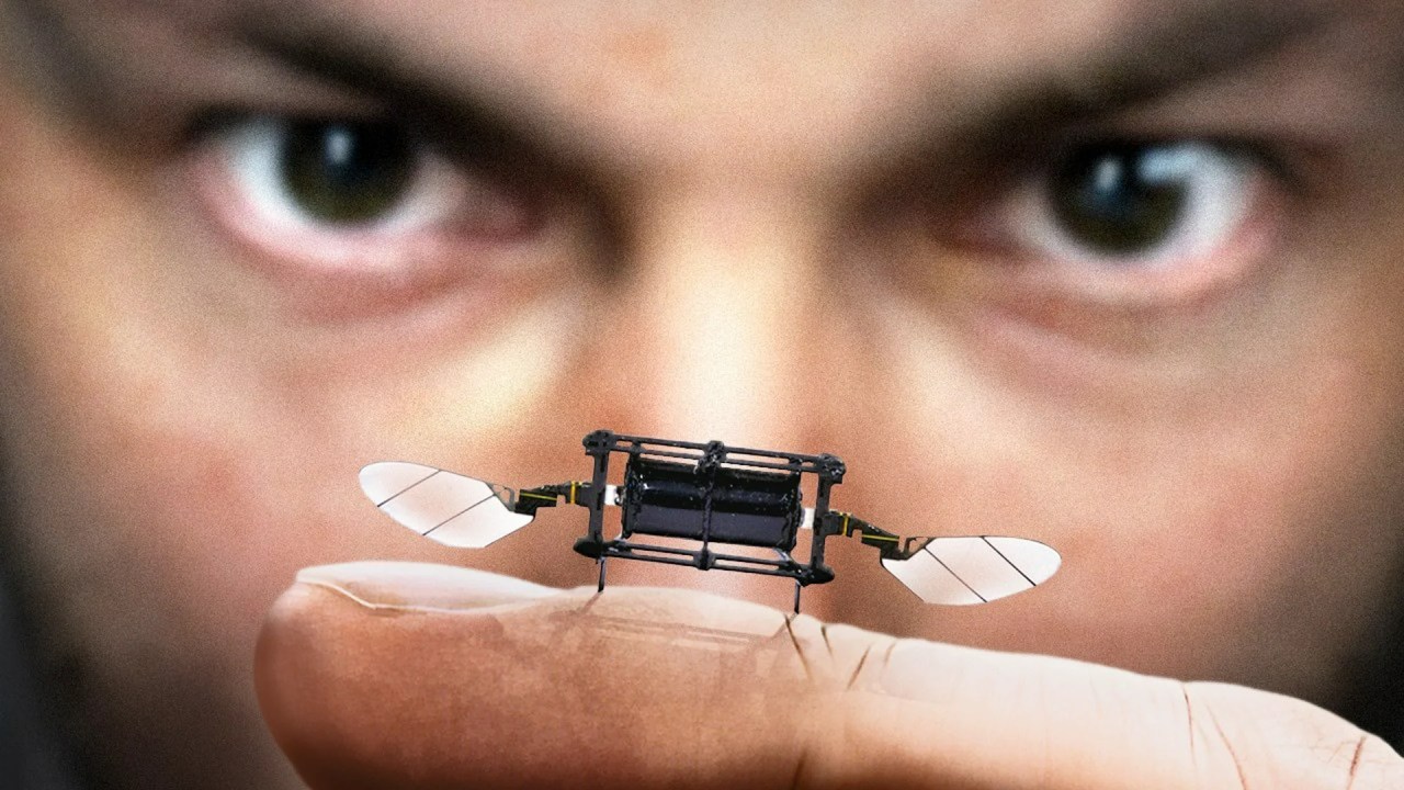 Why is MIT making robot insects? Why is MIT making robot insects?