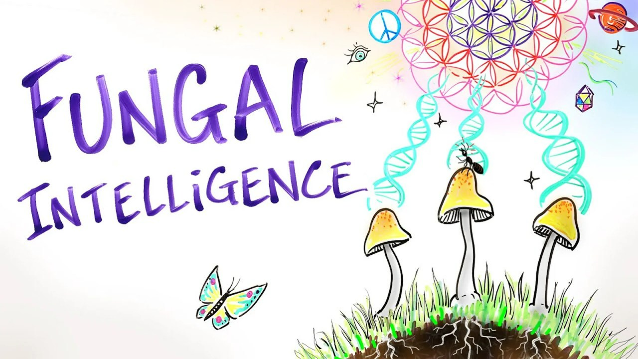 Fungal Intelligence – Conscious Mushrooms, Zombie Ants & The Hidden Wisdom of Nature Fungal Intelligence – Conscious Mushrooms, Zombie Ants & The Hidden Wisdom of Nature