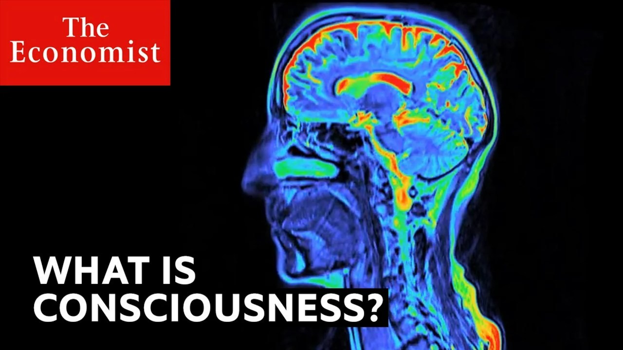 What is consciousness? What is consciousness?