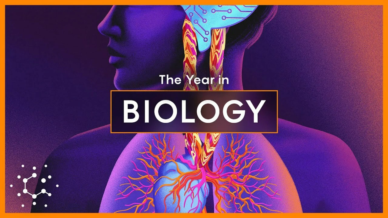 2024’s Biggest Breakthroughs in Biology and Neuroscience 2024’s Biggest Breakthroughs in Biology and Neuroscience