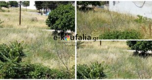 Κουφάλια-Αναγνώστρια: Εγκατάλειψη δημοτικών χώρων Κουφάλια-Αναγνώστρια: Εγκατάλειψη δημοτικών χώρων