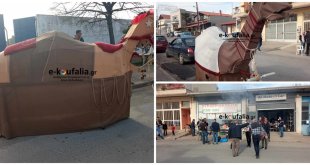 Κουφάλια:”Καμήλες” Κουφάλια:”Καμήλες”