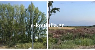 Μ.Μοναστήρι:Έκοψε και πούλησε 70 δέντρα από δημοτικό οικόπεδο Μ.Μοναστήρι:Έκοψε και πούλησε 70 δέντρα από δημοτικό οικόπεδο