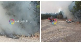 Χαλκηδόνα:Φωτιά στο δασάκι Χαλκηδόνα:Φωτιά στο δασάκι