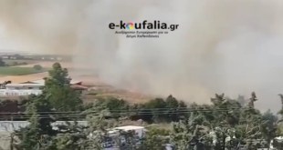 Κουφάλια:Φωτιά σε καλαμιές (vid) Κουφάλια:Φωτιά σε καλαμιές (vid)