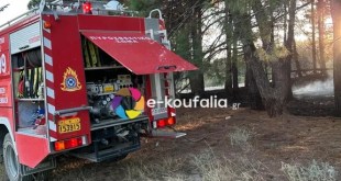 Χαλκηδόνα:Νέα φωτιά στο δασάκι Χαλκηδόνα:Νέα φωτιά στο δασάκι