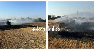 Κουφάλια:Νέα φωτιά σε χόρτα Κουφάλια:Νέα φωτιά σε χόρτα