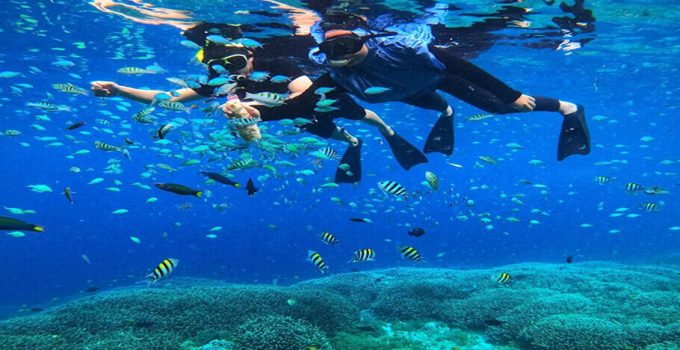 10 Tempat Snorkeling Terbaik di Indonesia Untuk Petualangan Tak Terlupakan 10 Tempat Snorkeling Terbaik di Indonesia Untuk Petualangan Tak Terlupakan