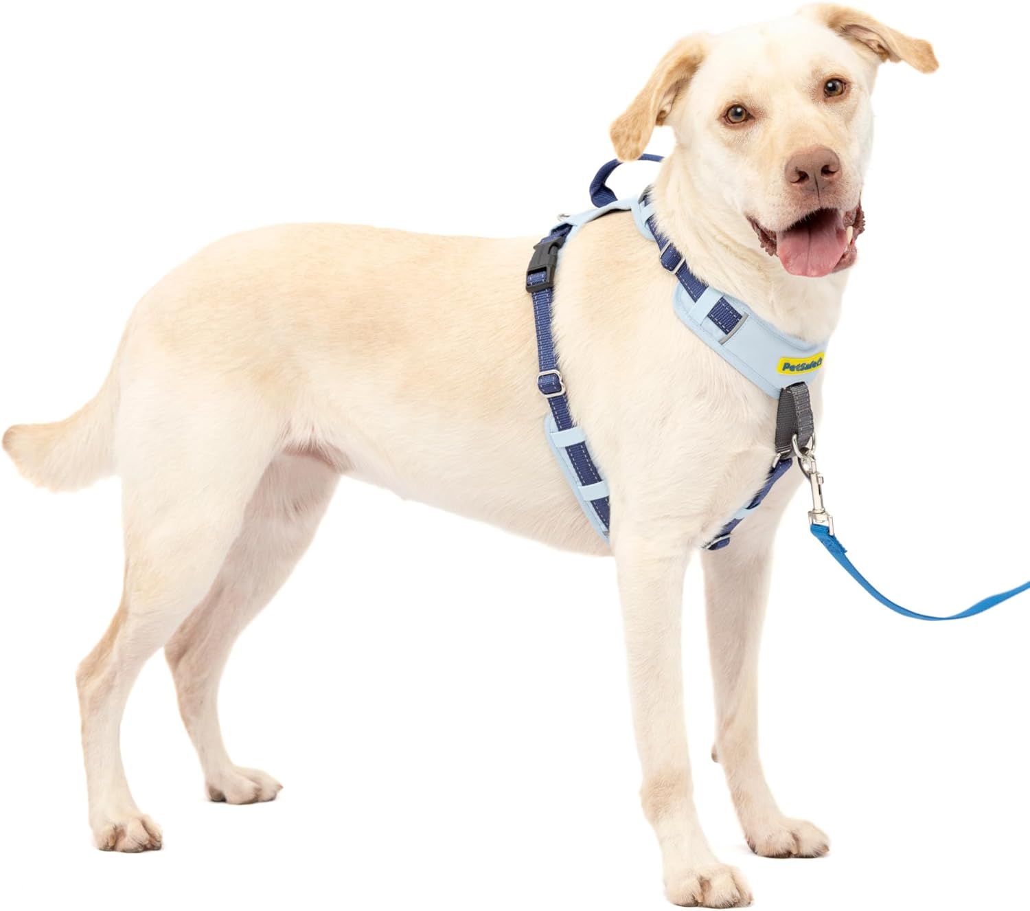 PetSafe Easy Walk Comfort No-Pull Dog Harness Full-Body Padding – Better Walks on The First Use – 5 Points of Adjustment Large, Blue PetSafe Easy Walk Comfort No-Pull Dog Harness Full-Body Padding – Better Walks on The First Use – 5 Points of Adjustment Large, Blue