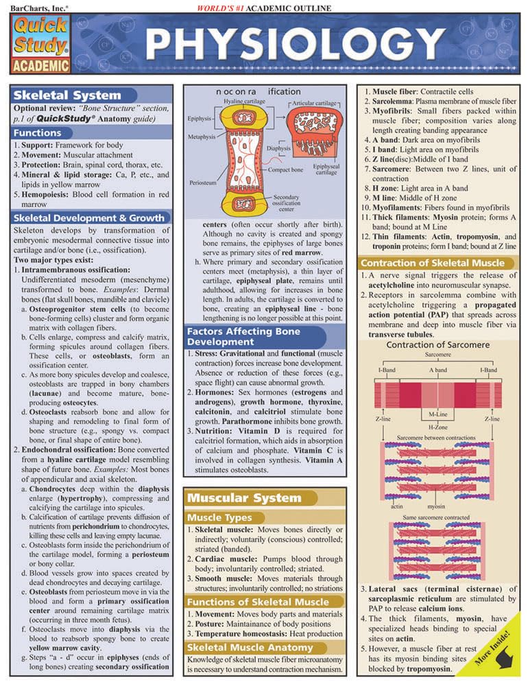 Physiology QuickStudy Laminated Reference Guide (QuickStudy Academic) Physiology QuickStudy Laminated Reference Guide (QuickStudy Academic)
