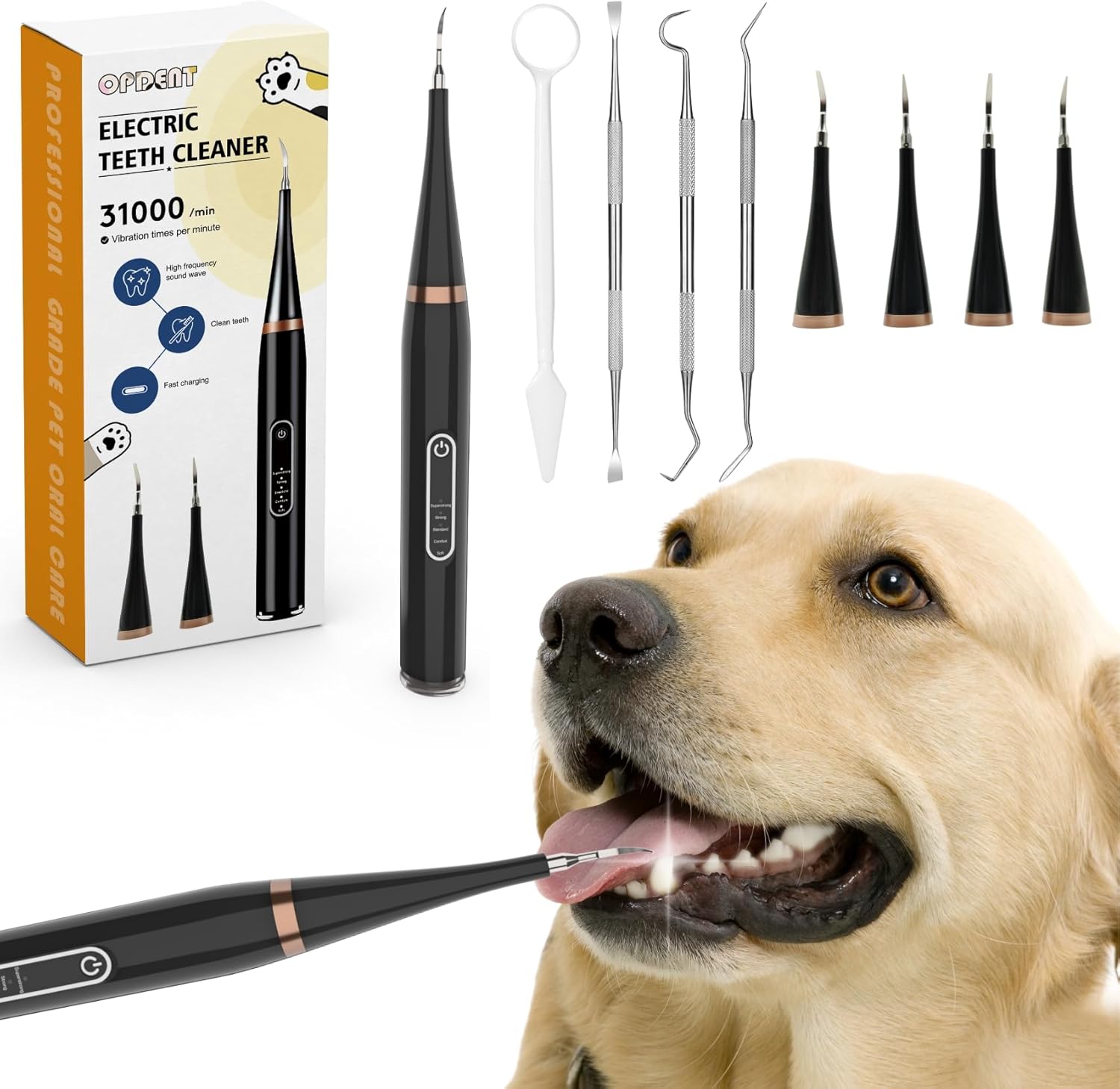 Plaque Remover for Teeth – Electric Toothbrush for Dogs Pet Brush Set,Electric Five Modes + 4 Cleaning Head, Effective Care of Teeth, pet Must Have, Help Dog Oral Health. (Black, Large) Plaque Remover for Teeth – Electric Toothbrush for Dogs Pet Brush Set,Electric Five Modes + 4 Cleaning Head, Effective Care of Teeth, pet Must Have, Help Dog Oral Health. (Black, Large)