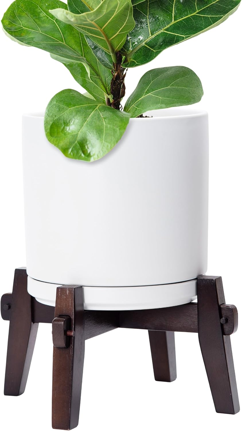 D’vine Dev Ceramic Planter with Wood Stand – 10 Inch Mid Century Modern Cylinder Indoor Plant Pot Set for Indoor Plants & Flowers, White, 55-A-X-1 D’vine Dev Ceramic Planter with Wood Stand – 10 Inch Mid Century Modern Cylinder Indoor Plant Pot Set for Indoor Plants & Flowers, White, 55-A-X-1