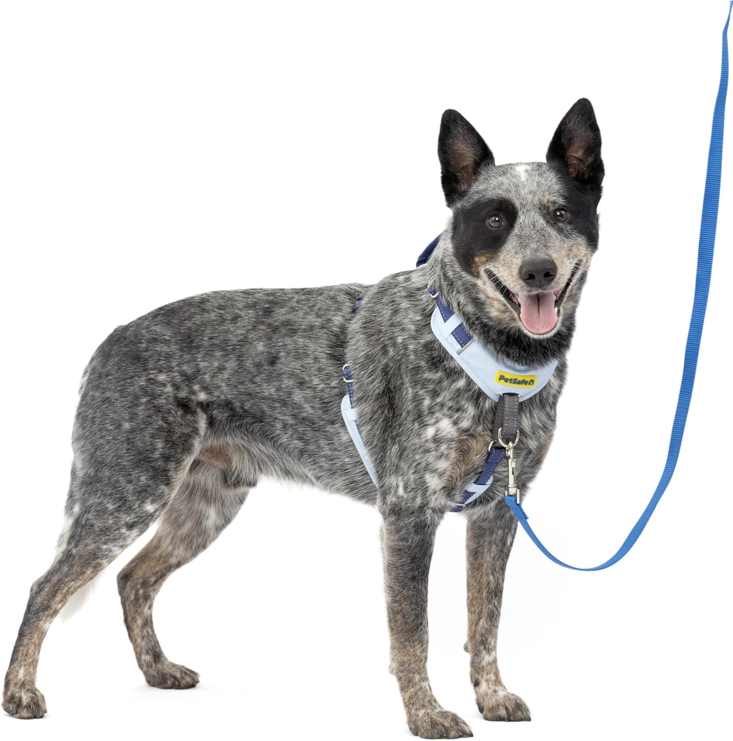 PetSafe Easy Walk Comfort No-Pull Dog Harness Full-Body Padding – Better Walks on The First Use – 5 Points of Adjustment Large, Blue PetSafe Easy Walk Comfort No-Pull Dog Harness Full-Body Padding – Better Walks on The First Use – 5 Points of Adjustment Large, Blue