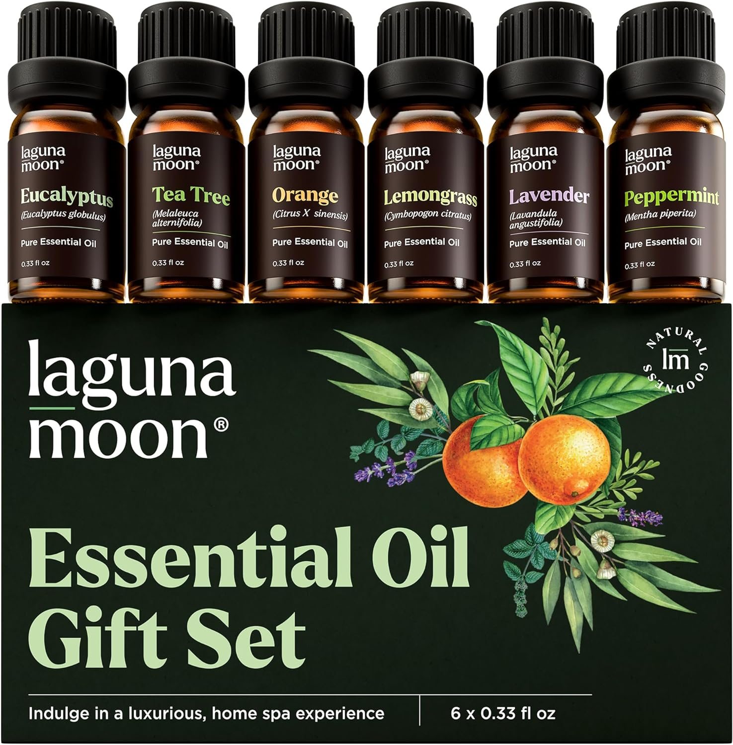 Essential Oils Set – Top 6 Blends for Diffusers, Home Care, Candle Making Scents, Fragrance, Aromatherapy, Humidifiers, Gifts – Peppermint, Tea Tree, Lavender, Eucalyptus, Lemongrass, Orange (10mL) Essential Oils Set – Top 6 Blends for Diffusers, Home Care, Candle Making Scents, Fragrance, Aromatherapy, Humidifiers, Gifts – Peppermint, Tea Tree, Lavender, Eucalyptus, Lemongrass, Orange (10mL)