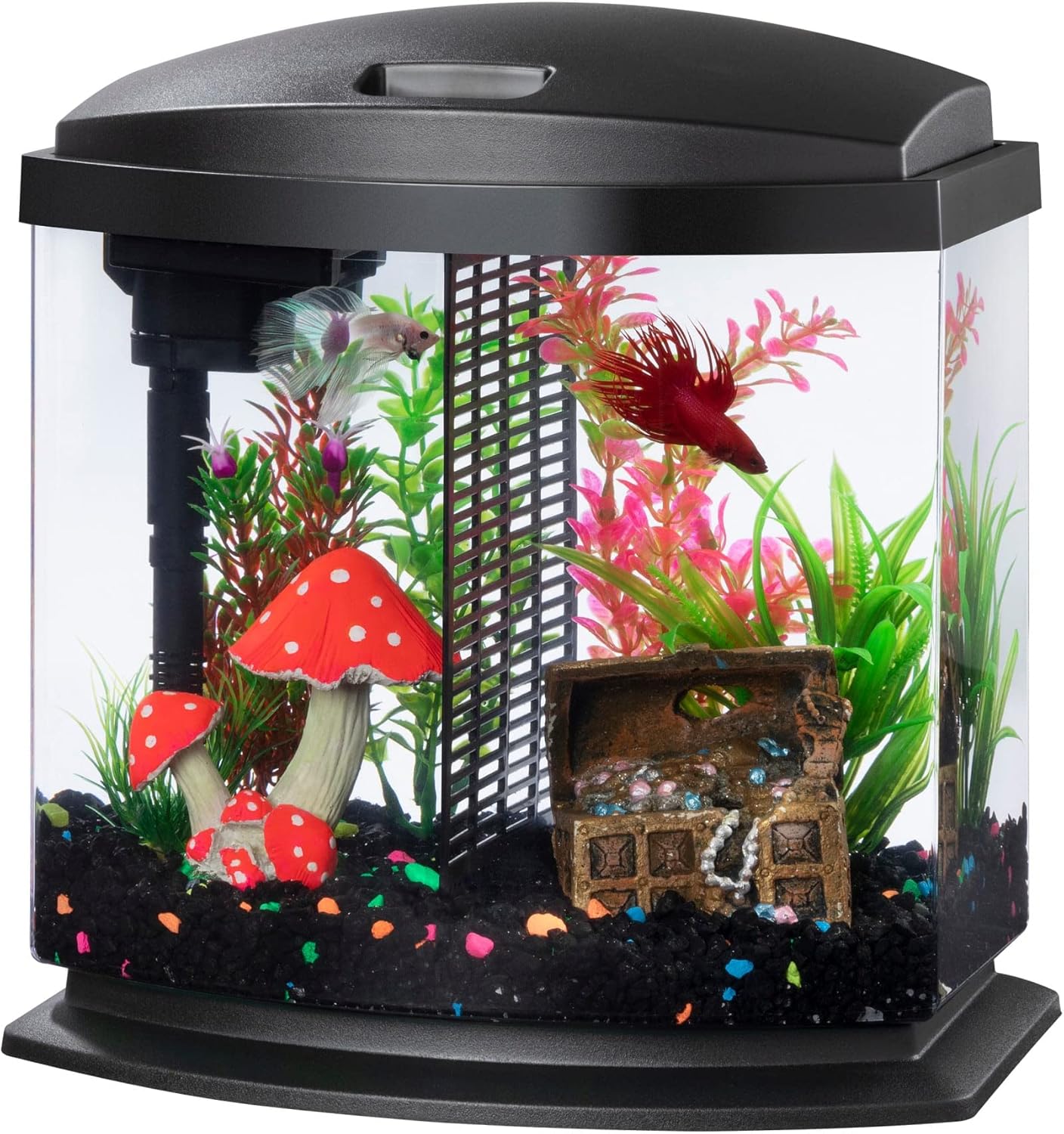 Aqueon 00800198: Aquarium Kit BettaBow Led Blk 2.5G Aqueon 00800198: Aquarium Kit BettaBow Led Blk 2.5G